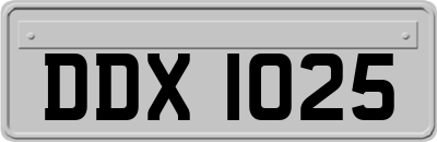 DDX1025
