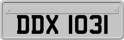 DDX1031