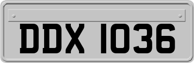 DDX1036