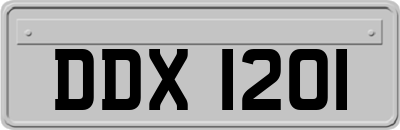 DDX1201