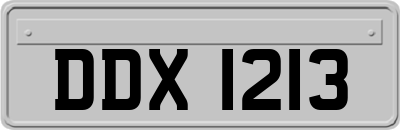DDX1213