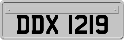 DDX1219