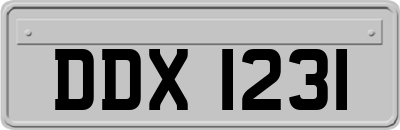 DDX1231