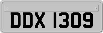 DDX1309