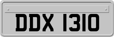 DDX1310