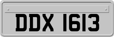 DDX1613