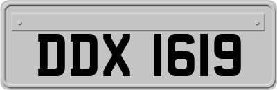 DDX1619