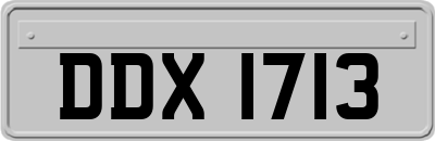 DDX1713