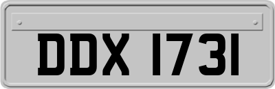 DDX1731