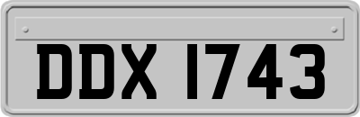 DDX1743