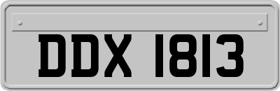 DDX1813