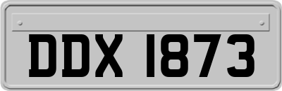 DDX1873