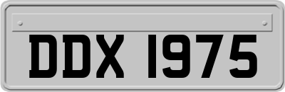 DDX1975