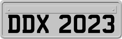 DDX2023