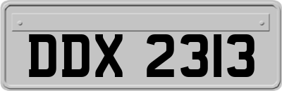 DDX2313