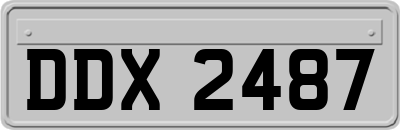 DDX2487