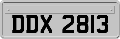 DDX2813