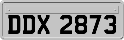 DDX2873