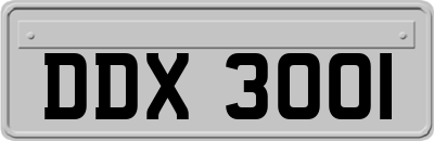 DDX3001