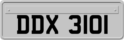 DDX3101