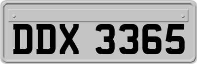 DDX3365