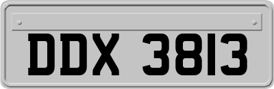 DDX3813