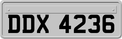 DDX4236