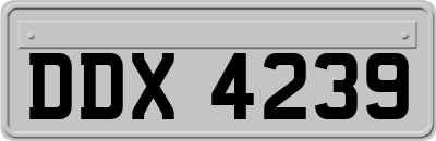 DDX4239