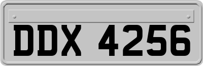 DDX4256