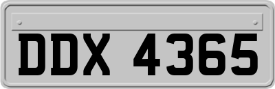 DDX4365