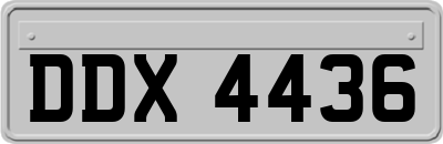 DDX4436