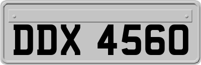 DDX4560