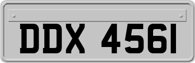 DDX4561