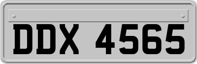 DDX4565