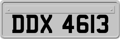 DDX4613