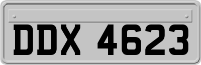 DDX4623