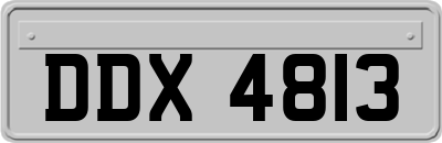 DDX4813