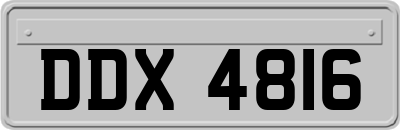 DDX4816
