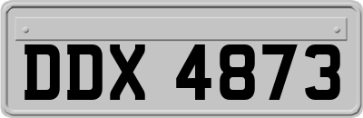 DDX4873
