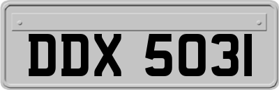 DDX5031