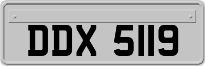 DDX5119