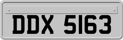 DDX5163