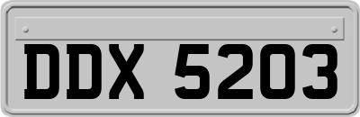 DDX5203