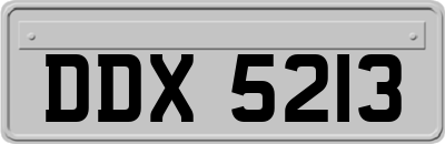 DDX5213