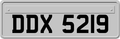 DDX5219