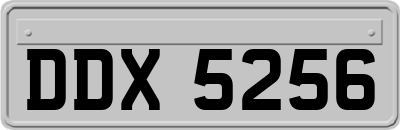 DDX5256