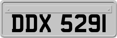 DDX5291