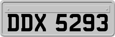 DDX5293