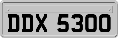 DDX5300