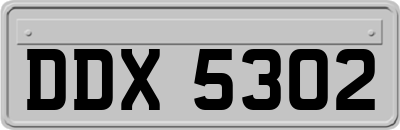 DDX5302